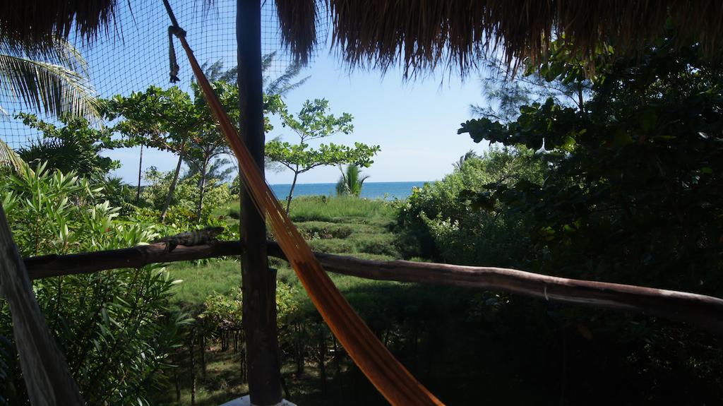 Rancho Sakol Hotel Puerto Morelos Bilik gambar