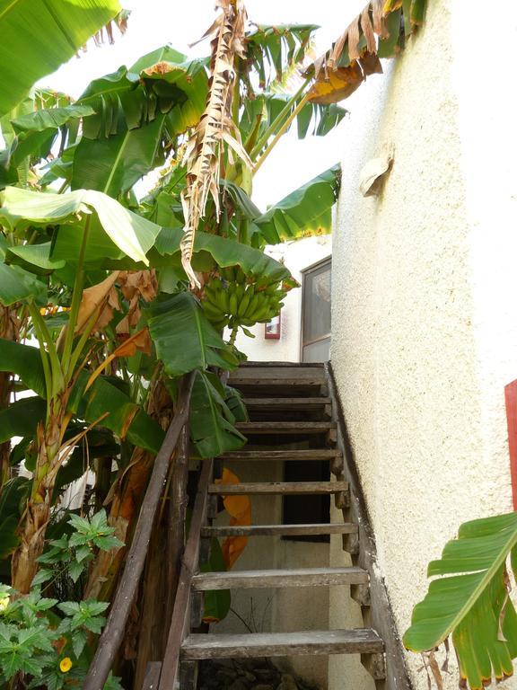 Rancho Sakol Hotel Puerto Morelos Bilik gambar